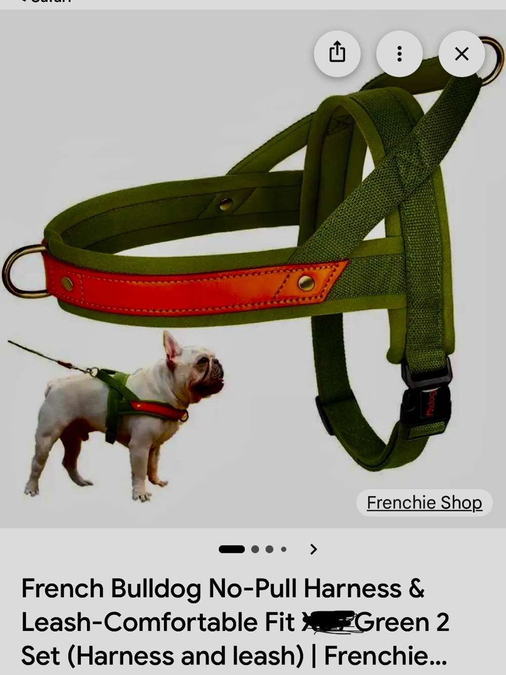 No-Pull Dog Harness & Leash Set - Olive Green with Orange Accent